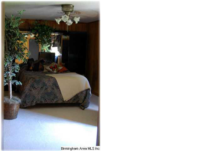 914 Grandview Trail Warrior, AL 35180 - Photo 19 of 30