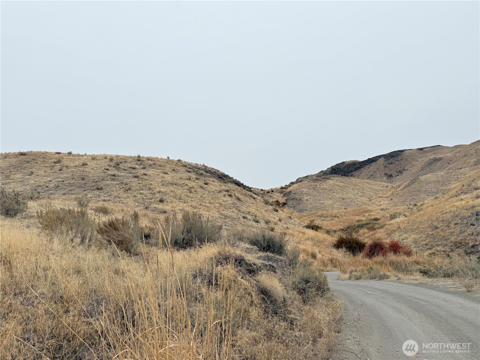 161 Weatherstone Road Omak, WA 98841 - Photo 3 of 9 a view of a dry yard with mountains in the background