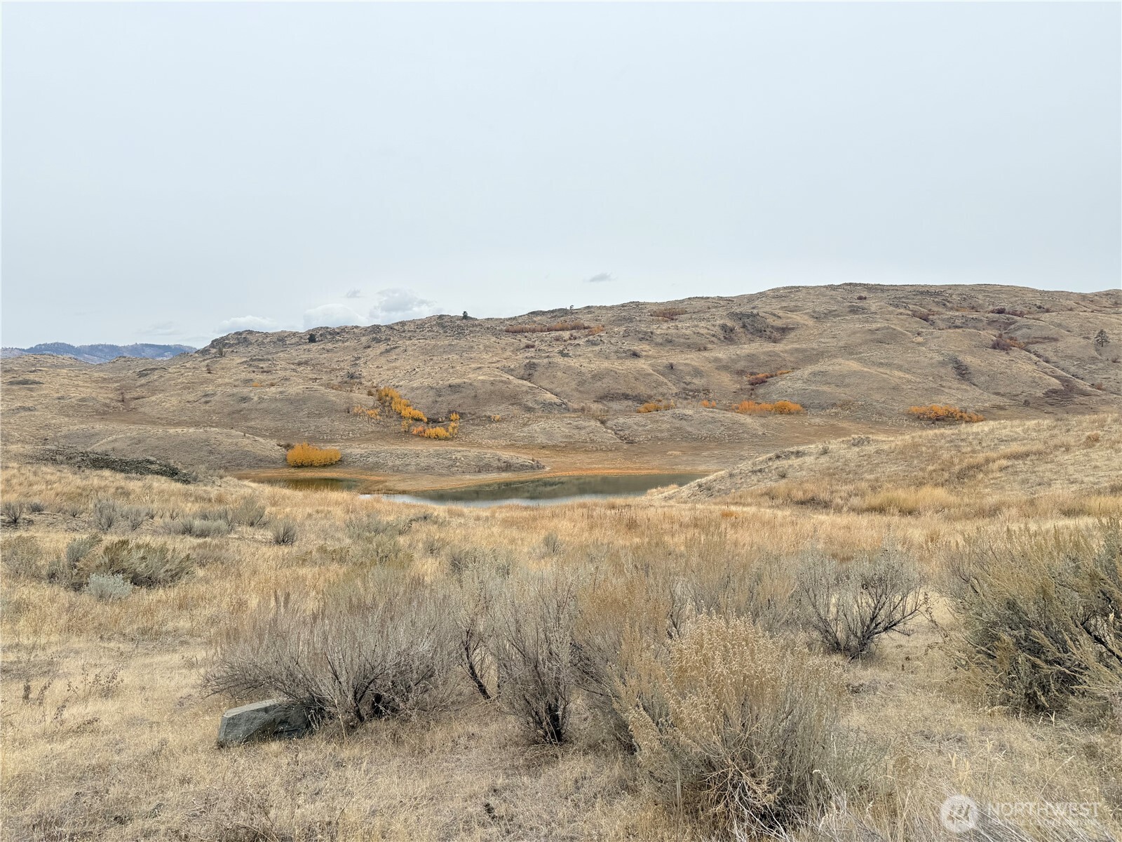 161 Weatherstone Road Omak, WA 98841 - Photo 7 of 9 a view of mountain