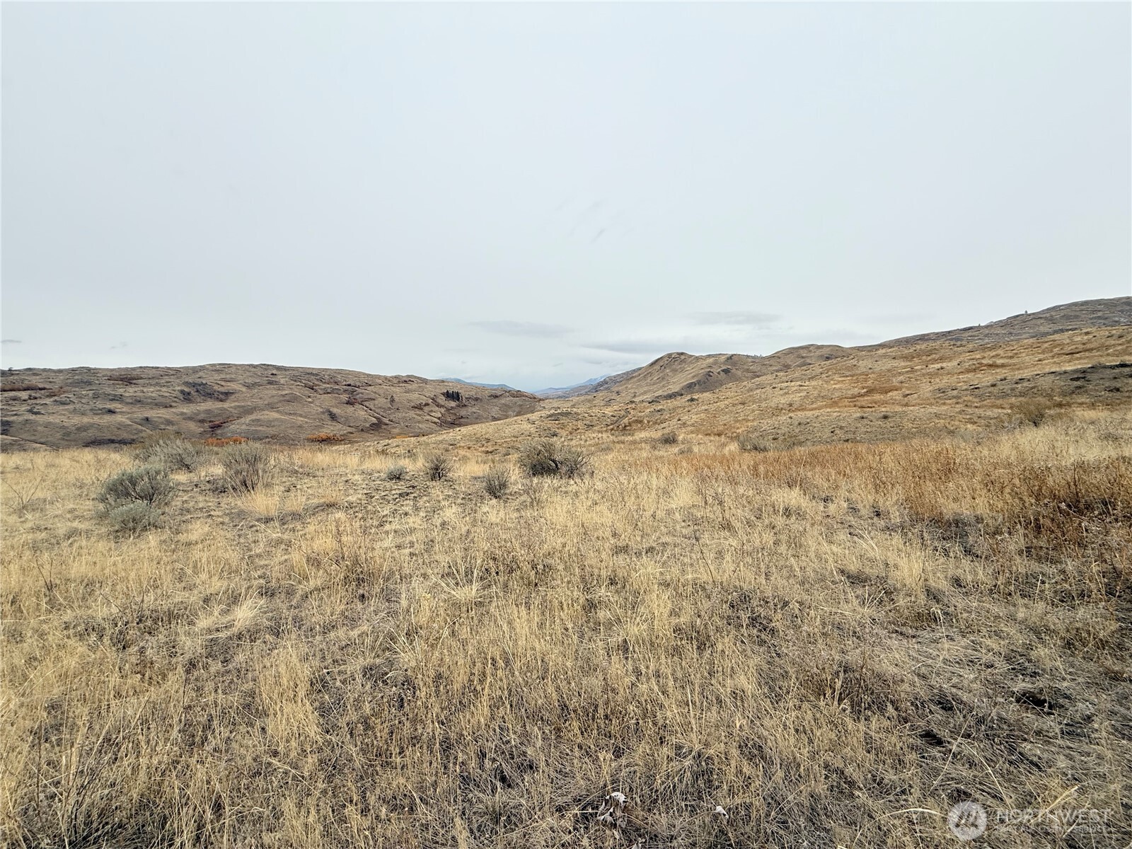 161 Weatherstone Road Omak, WA 98841 - Photo 9 of 9 a view of mountain