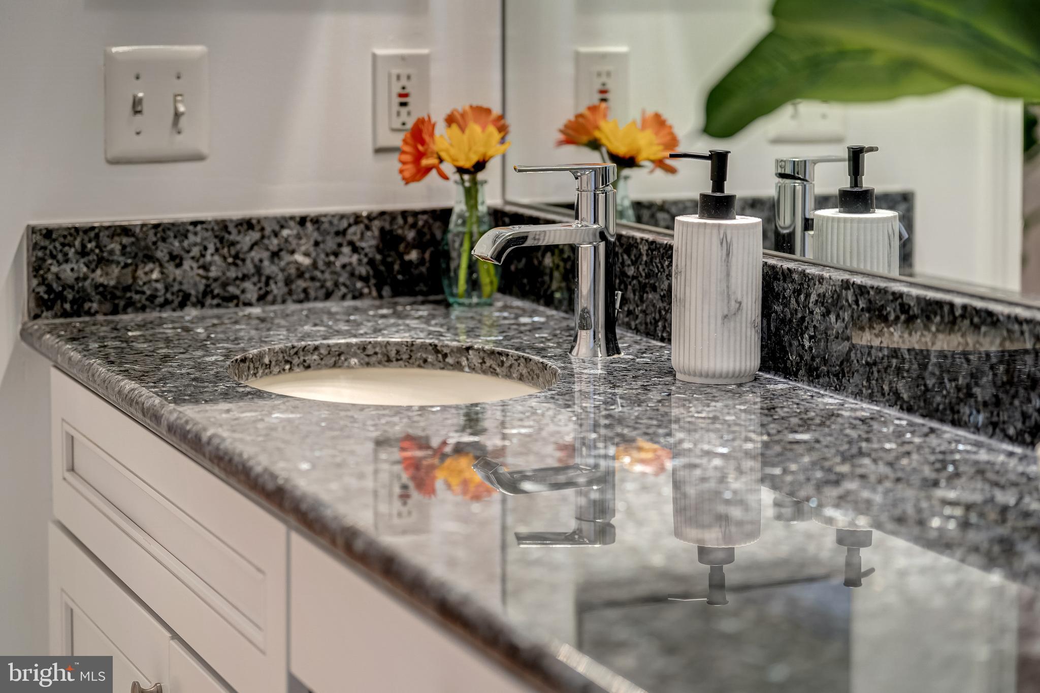 12000 Market Street, Unit 235 Reston, VA 20190 - Photo 35 of 45 Solid Countertop