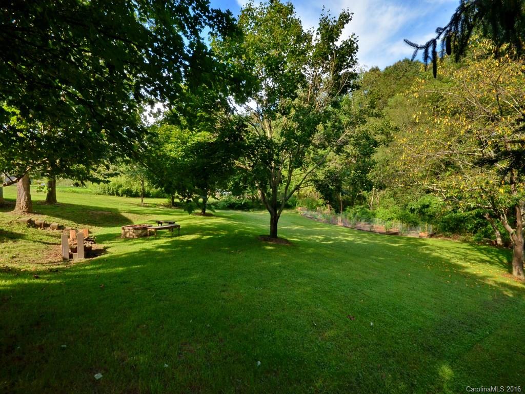 442 Thompson Cove Road Clyde, NC 28721 - Photo 19 of 20 a view of a park with large trees