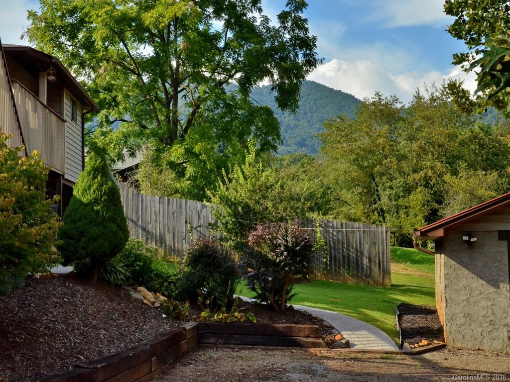 442 Thompson Cove Road Clyde, NC 28721 - Photo 20 of 20 a view of a backyard with plants and a large tree