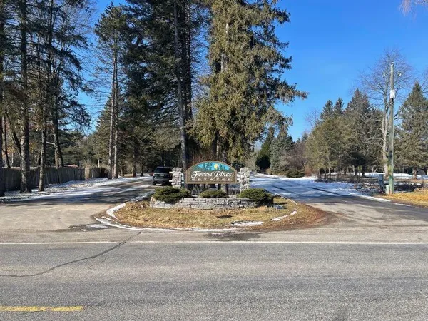 $20,000 | 9098 Forest Pines Drive, Mecosta, MI 49332