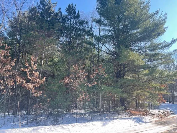 $20,000 | 9098 Forest Pines Drive, Mecosta, MI 49332