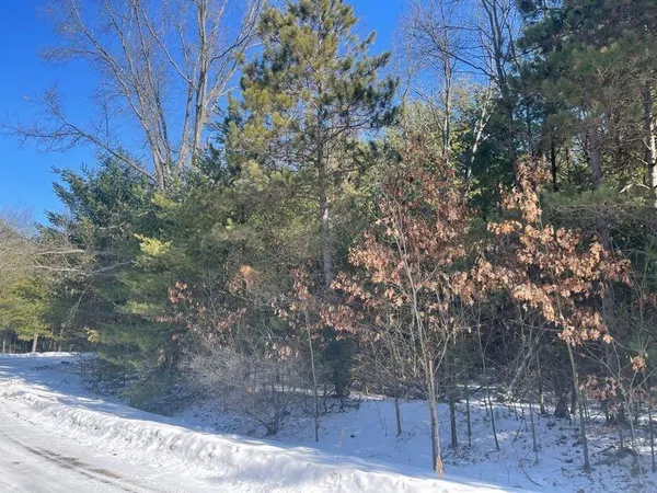 $20,000 | 9098 Forest Pines Drive, Mecosta, MI 49332