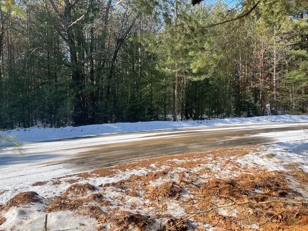 $20,000 | 9098 Forest Pines Drive, Mecosta, MI 49332