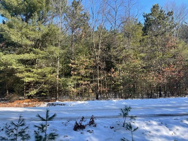 $20,000 | 9098 Forest Pines Drive, Mecosta, MI 49332