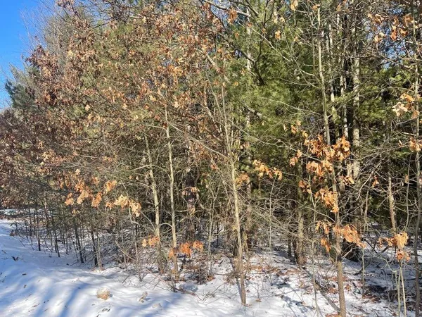 $20,000 | 9098 Forest Pines Drive, Mecosta, MI 49332