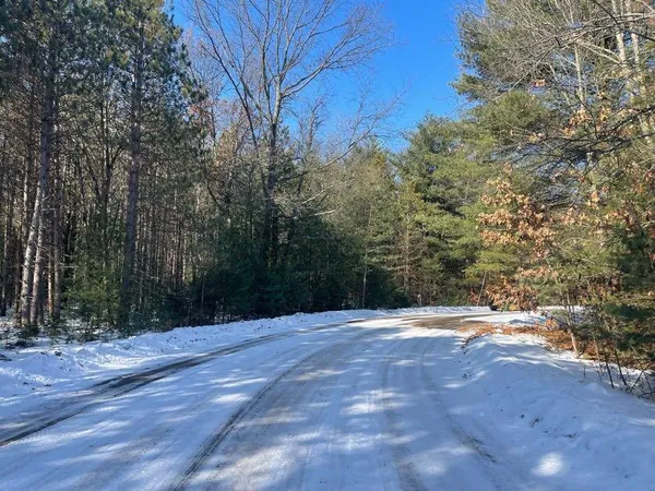 $20,000 | 9098 Forest Pines Drive, Mecosta, MI 49332