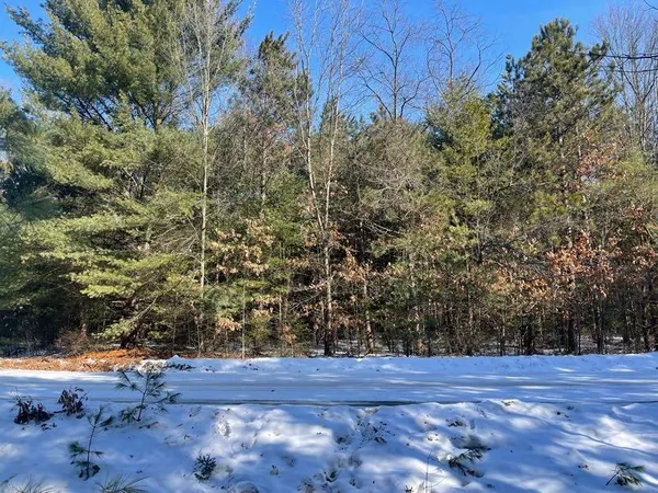 $20,000 | 9098 Forest Pines Drive, Mecosta, MI 49332