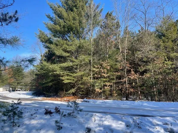 $20,000 | 9098 Forest Pines Drive, Mecosta, MI 49332