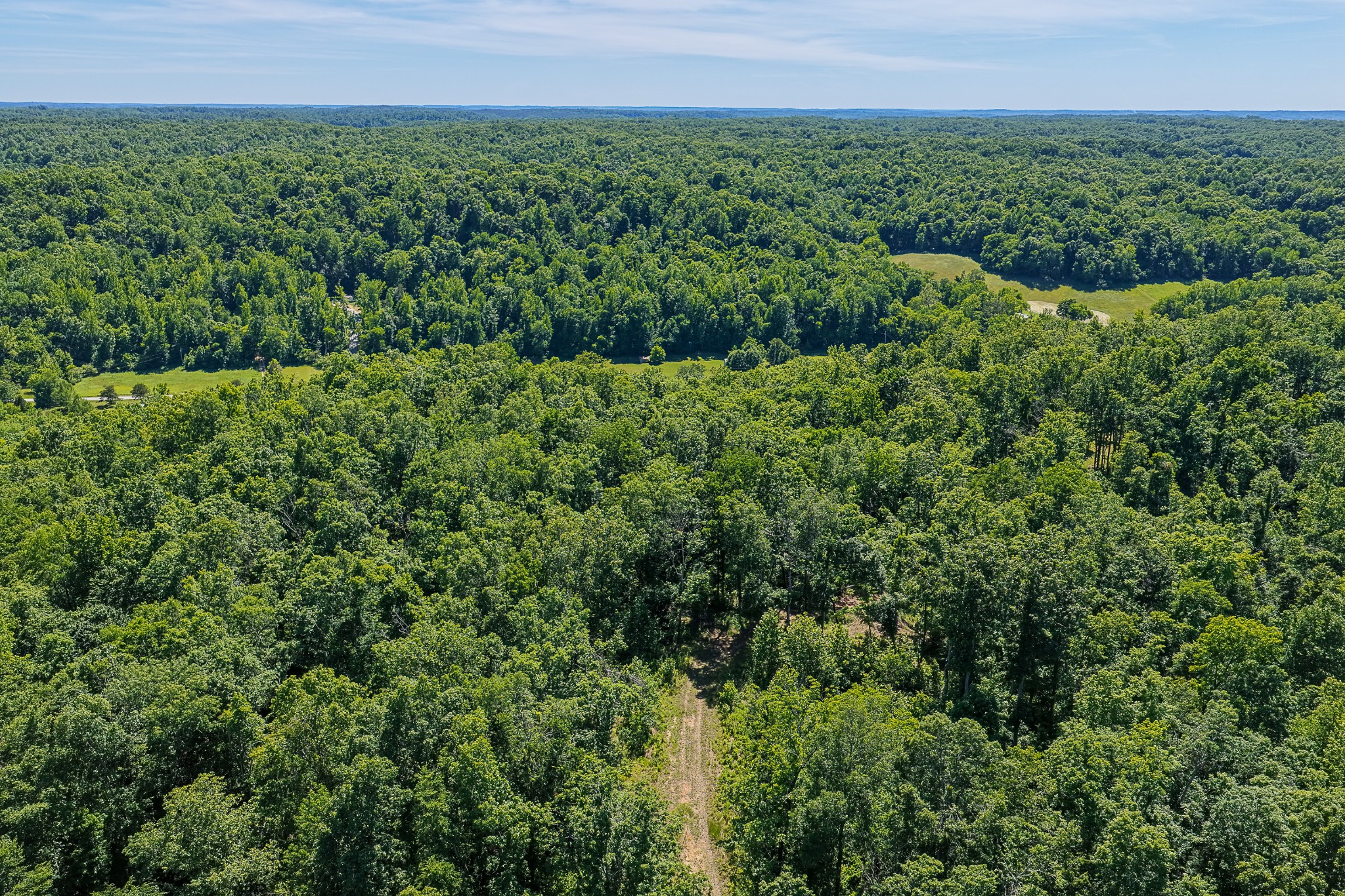 0 Mayberry Prong Road Linden, TN 37096 - Photo 19 of 24