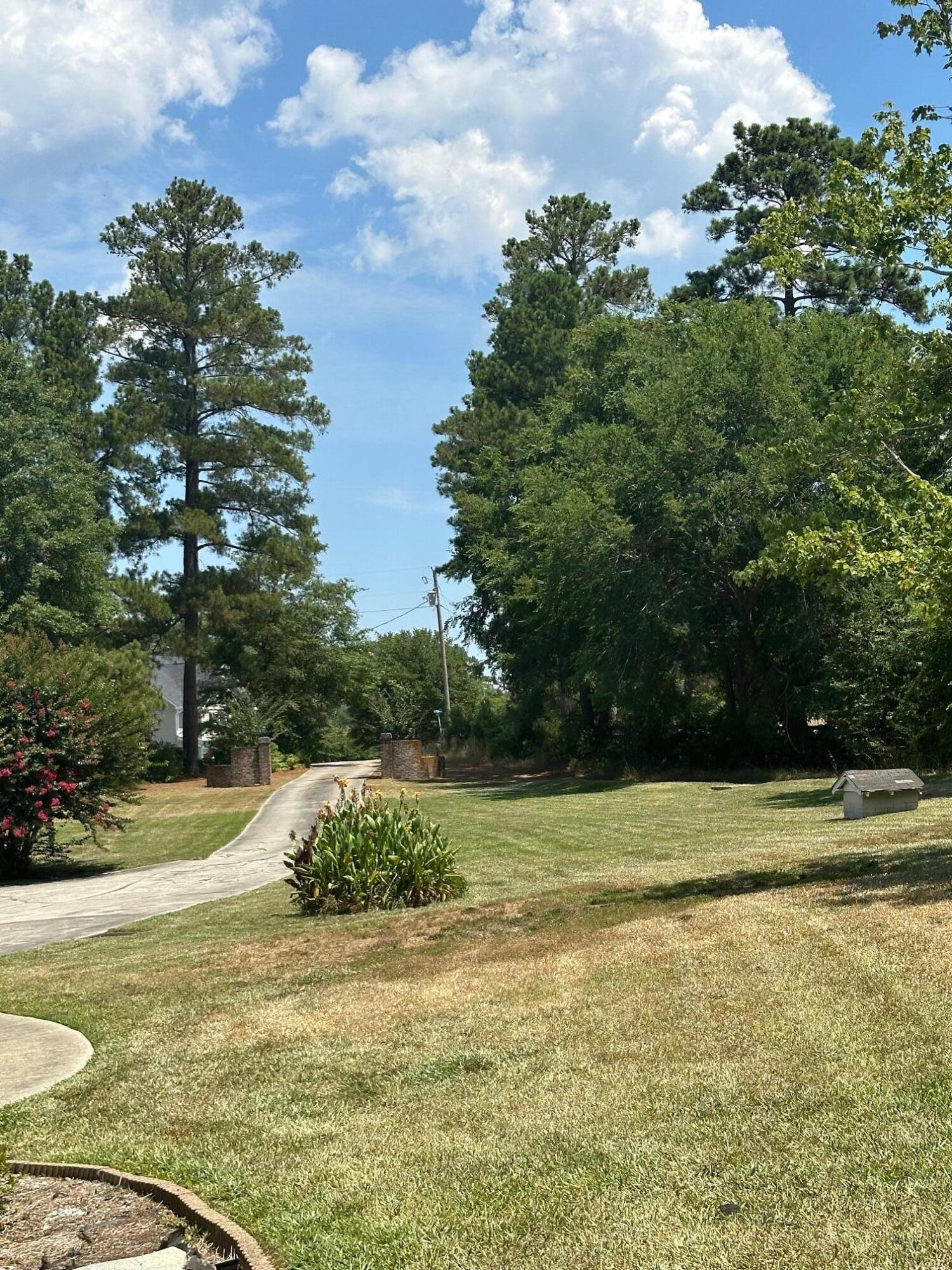 520 South Point Drive Gilbert, SC 29054 - Photo 65 of 118