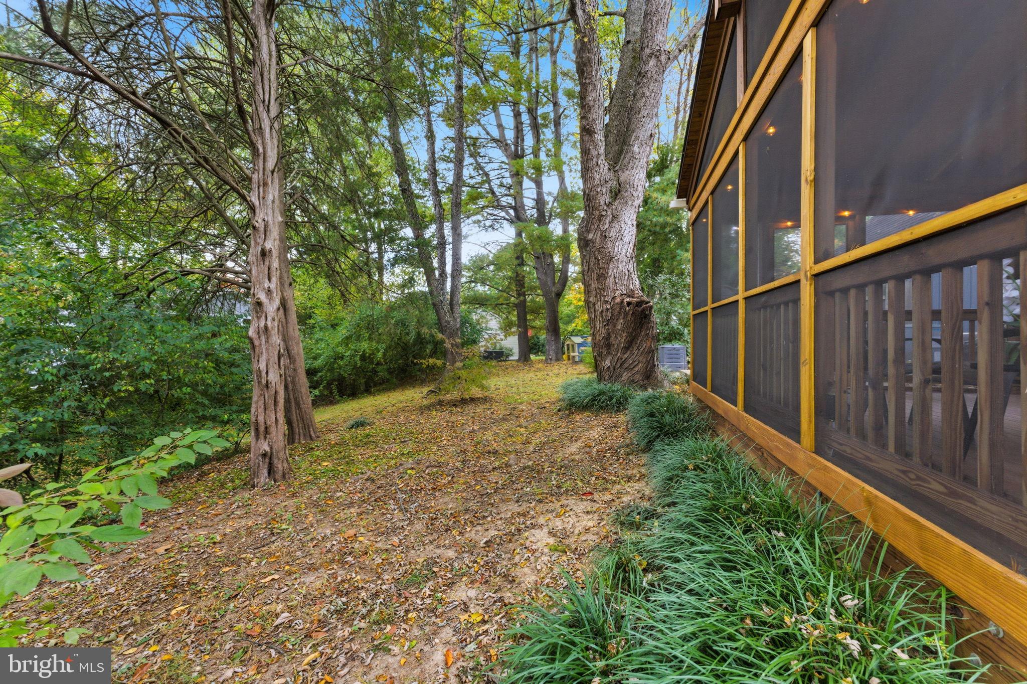 11309 Gatesborough Lane Reston, VA 20191 - Photo 48 of 85 a view of a yard with plants and large trees