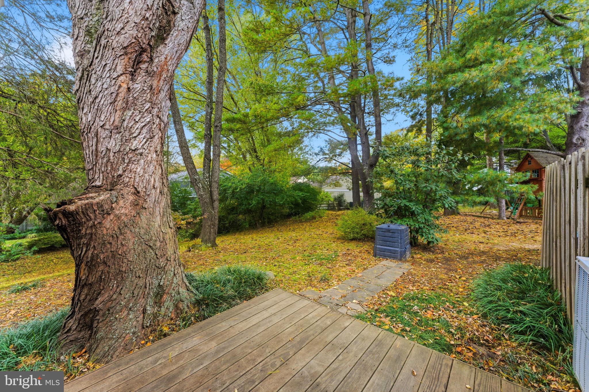11309 Gatesborough Lane Reston, VA 20191 - Photo 51 of 85 a view of a yard with plants and large trees