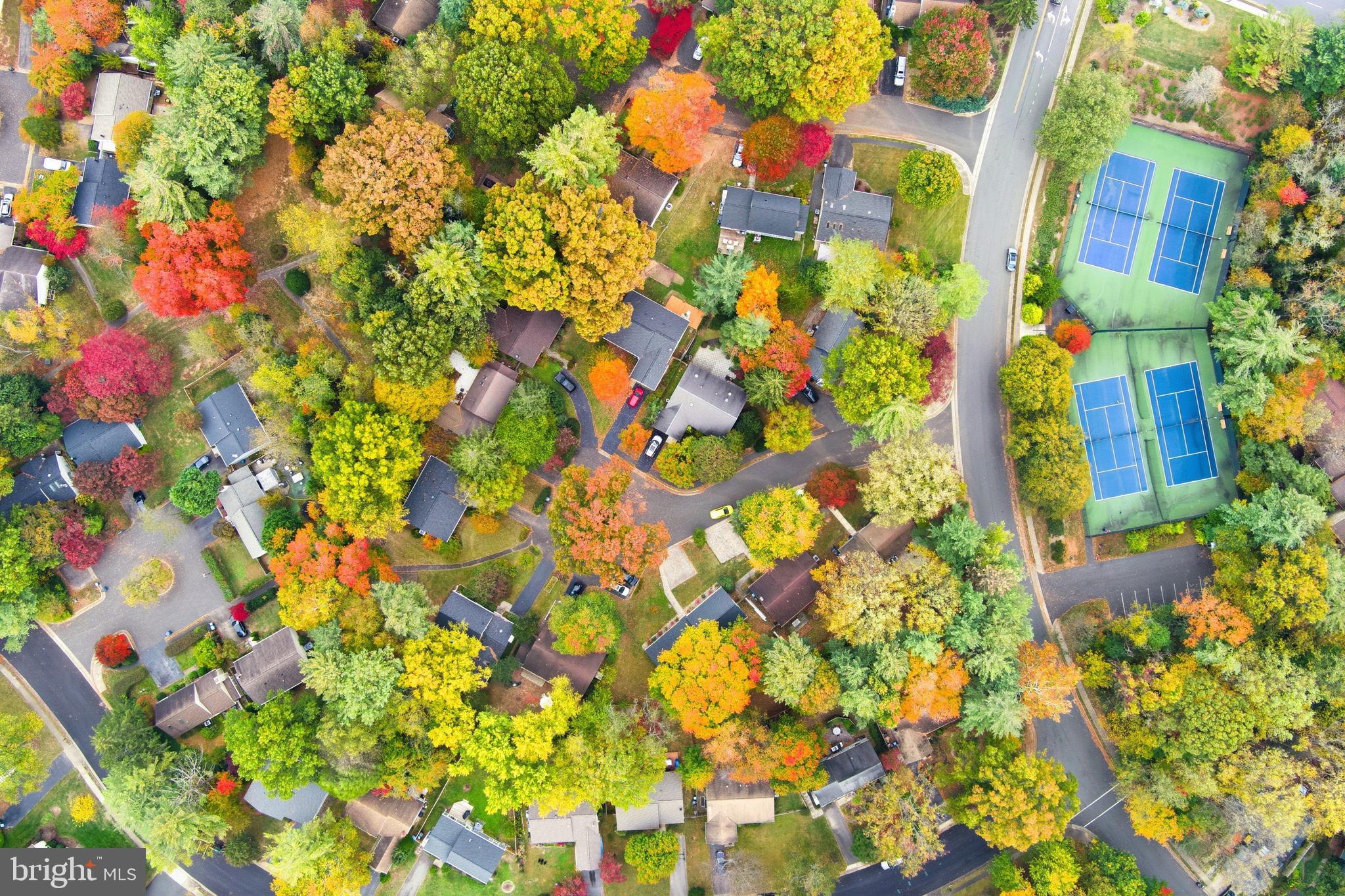 11309 Gatesborough Lane Reston, VA 20191 - Photo 60 of 85 Vibrant autumn hues blanket a cozy neighborhood.