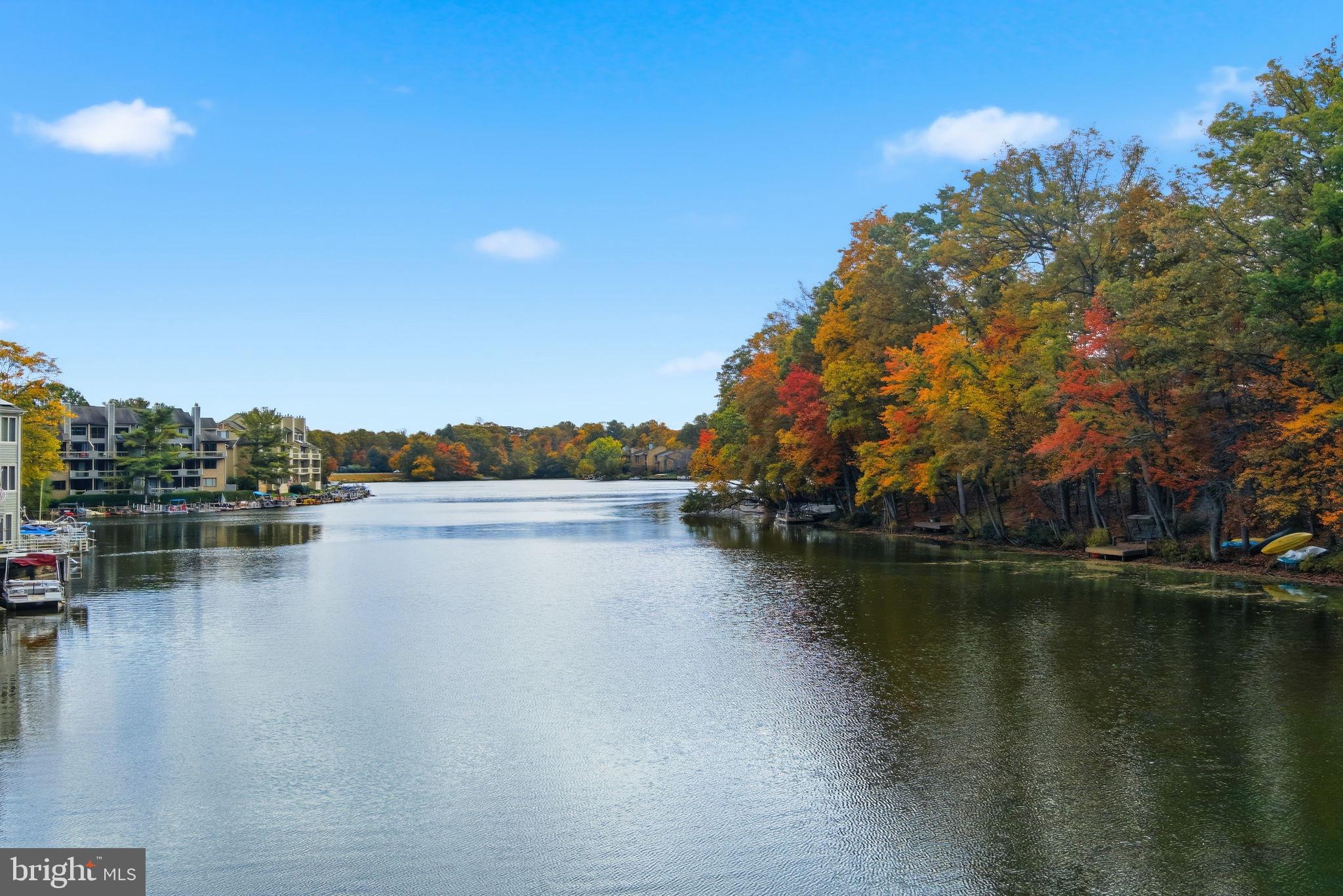 11309 Gatesborough Lane Reston, VA 20191 - Photo 62 of 85 Serene autumn hues by the tranquil lake.
