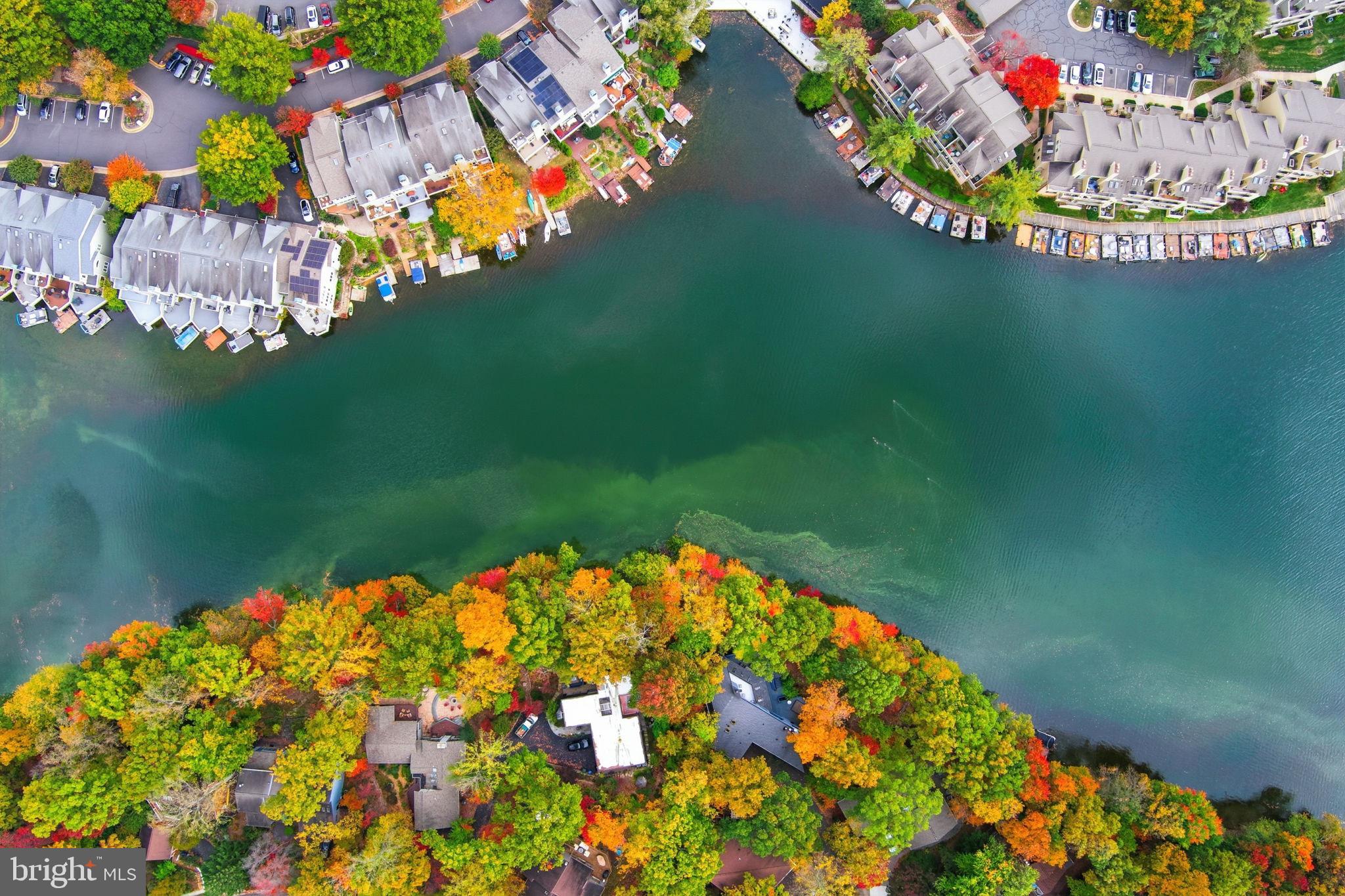 11309 Gatesborough Lane Reston, VA 20191 - Photo 65 of 85 Vibrant autumn hues embrace tranquil waters.