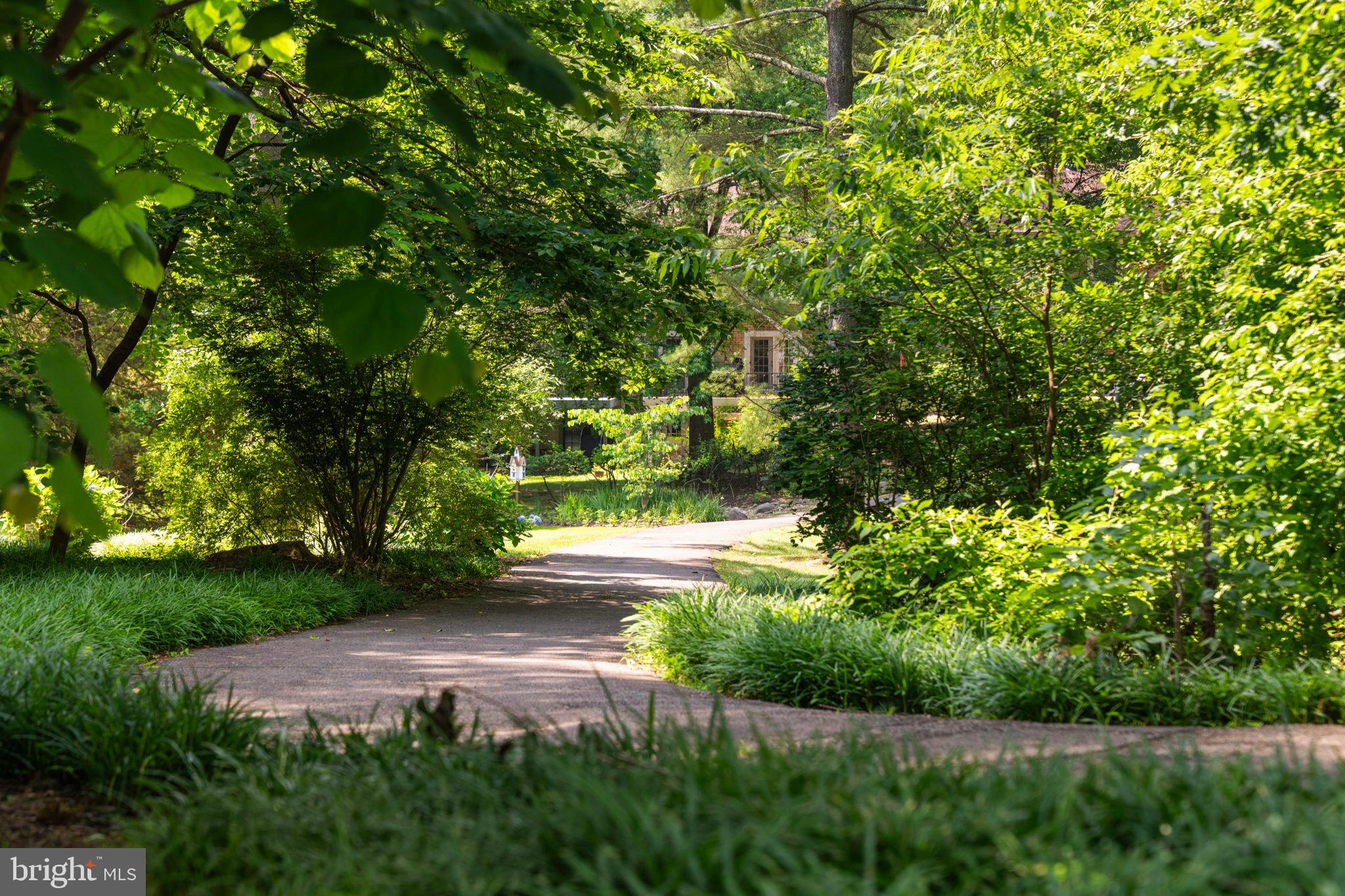 11309 Gatesborough Lane Reston, VA 20191 - Photo 70 of 85 Serene path through lush greenery.