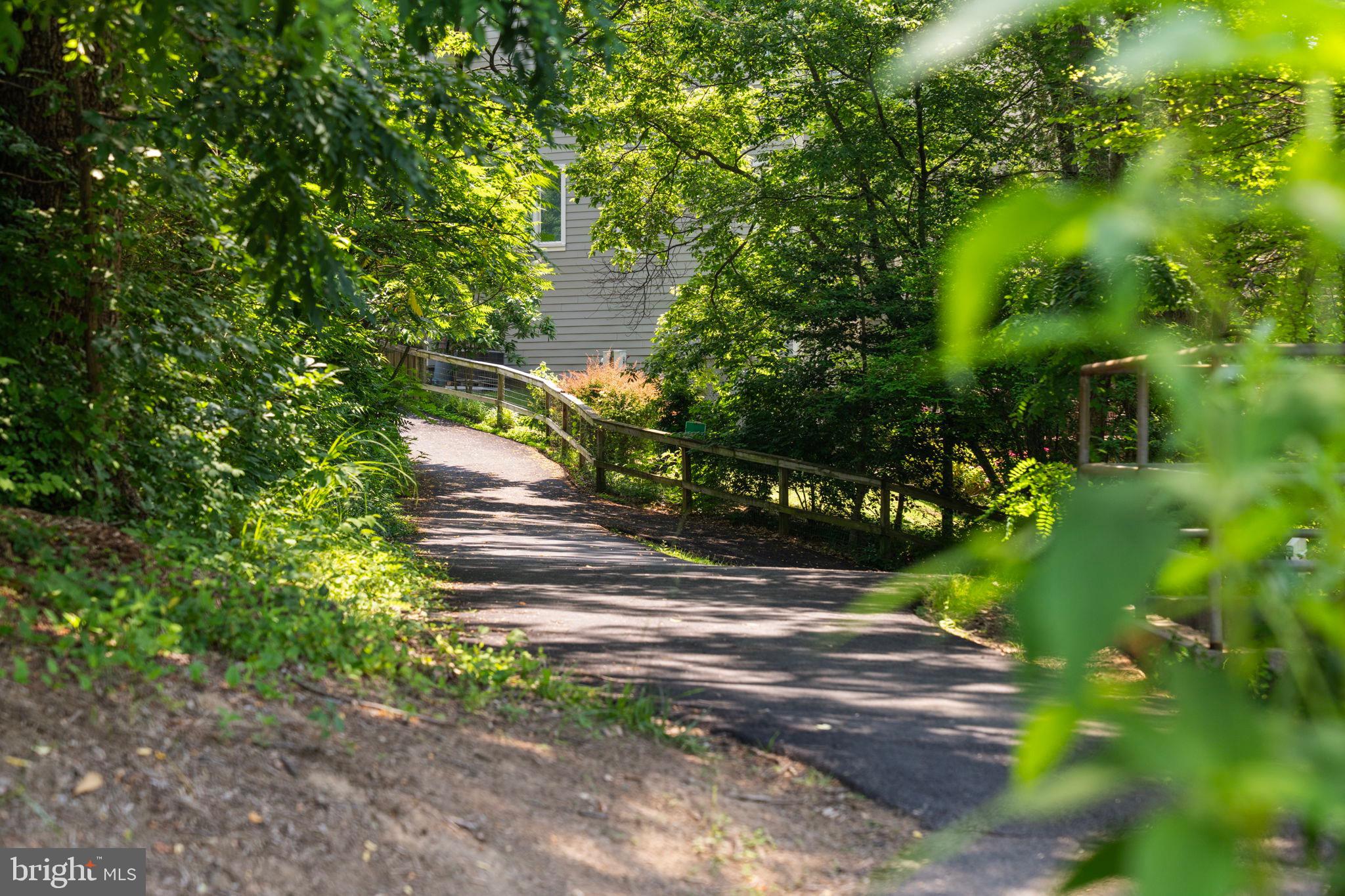 11309 Gatesborough Lane Reston, VA 20191 - Photo 72 of 85 Serene path through lush greenery.