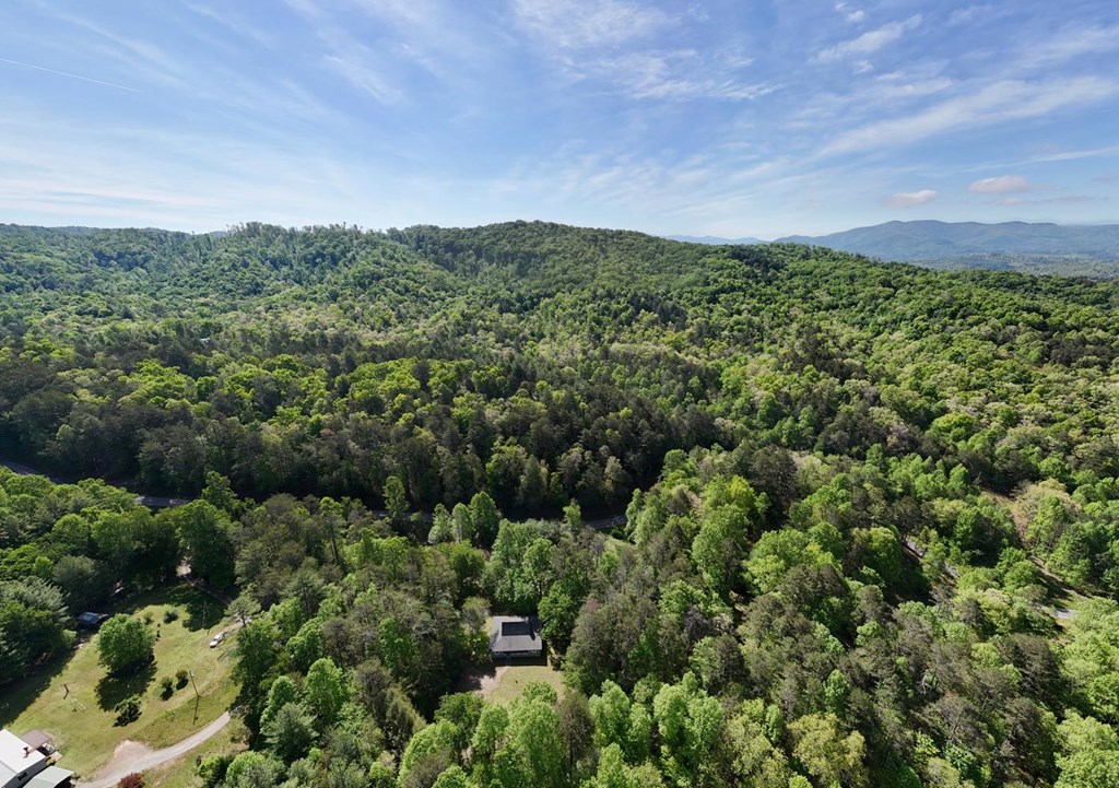 1493 Greasy Creek Road Brasstown, NC 28902 - Photo 42 of 51