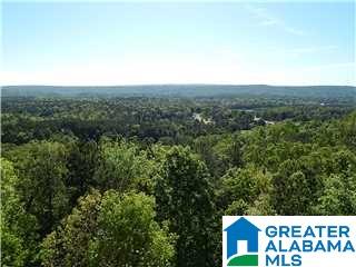 2134 Brook Highland Ridge Birmingham, AL 35242 - Photo 1 of 50