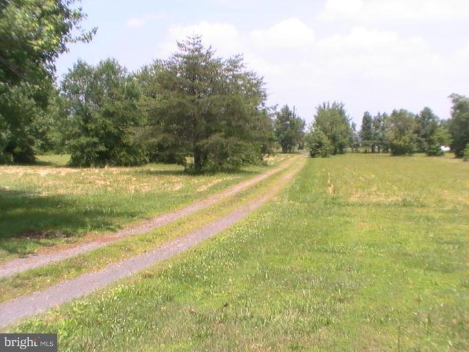 4745 Midland Road Midland, VA 22728 - Photo 3 of 11 Land view