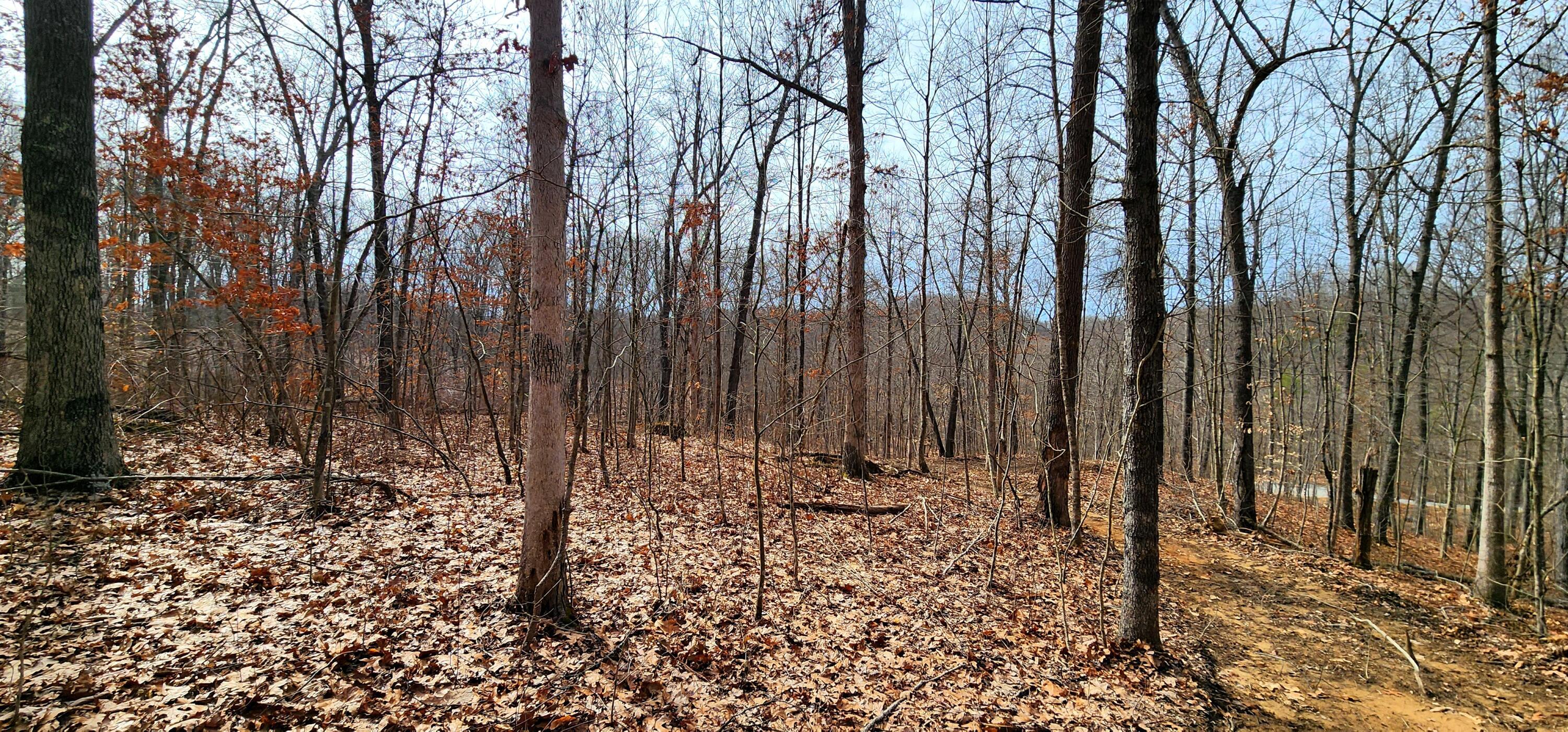 0 Edmundson Road, Unit TRACT 4 AT BIG TIMBER) Vinton, OH 45686 - Photo 35 of 67 20250307_115023