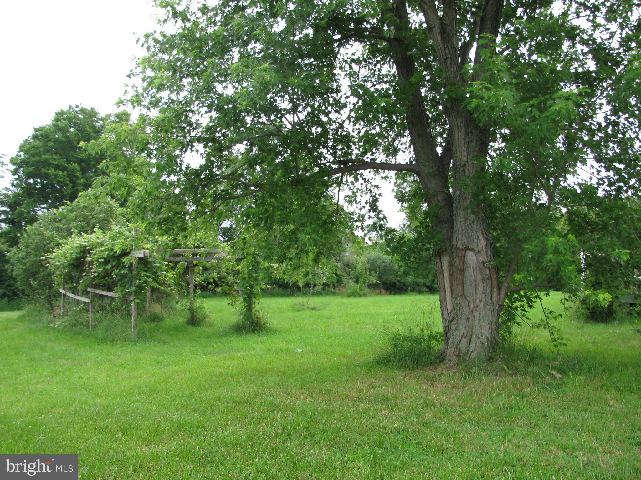 8055 Old Receiver Road Frederick, MD 21702 - Photo 10 of 28 View