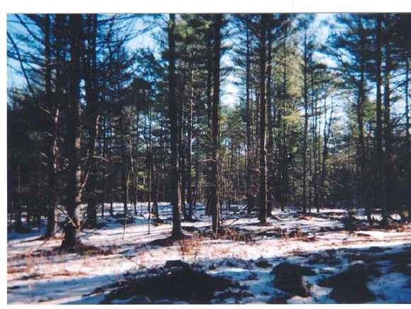50 Needle Eye Road Meredith, NH 03253 - Photo 1 of 1 Gallery Image 1