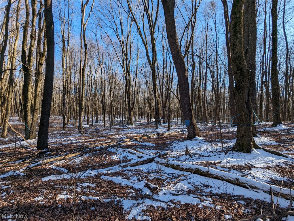10450 Kile Road Chardon, OH 44024 - Photo 47 of 49 Gallery Image 47