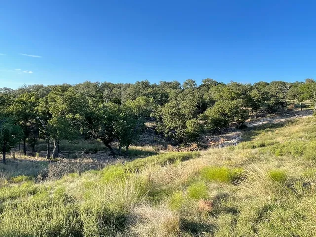 a view of swimming pool with a yard