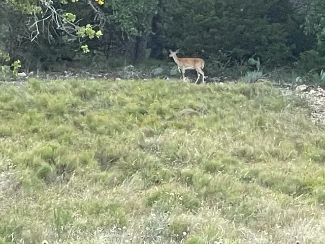 $160,000 | Undisclosed Address, San Saba, TX 76877