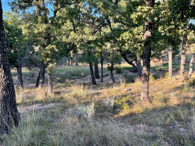 $160,000 | Undisclosed Address, San Saba, TX 76877