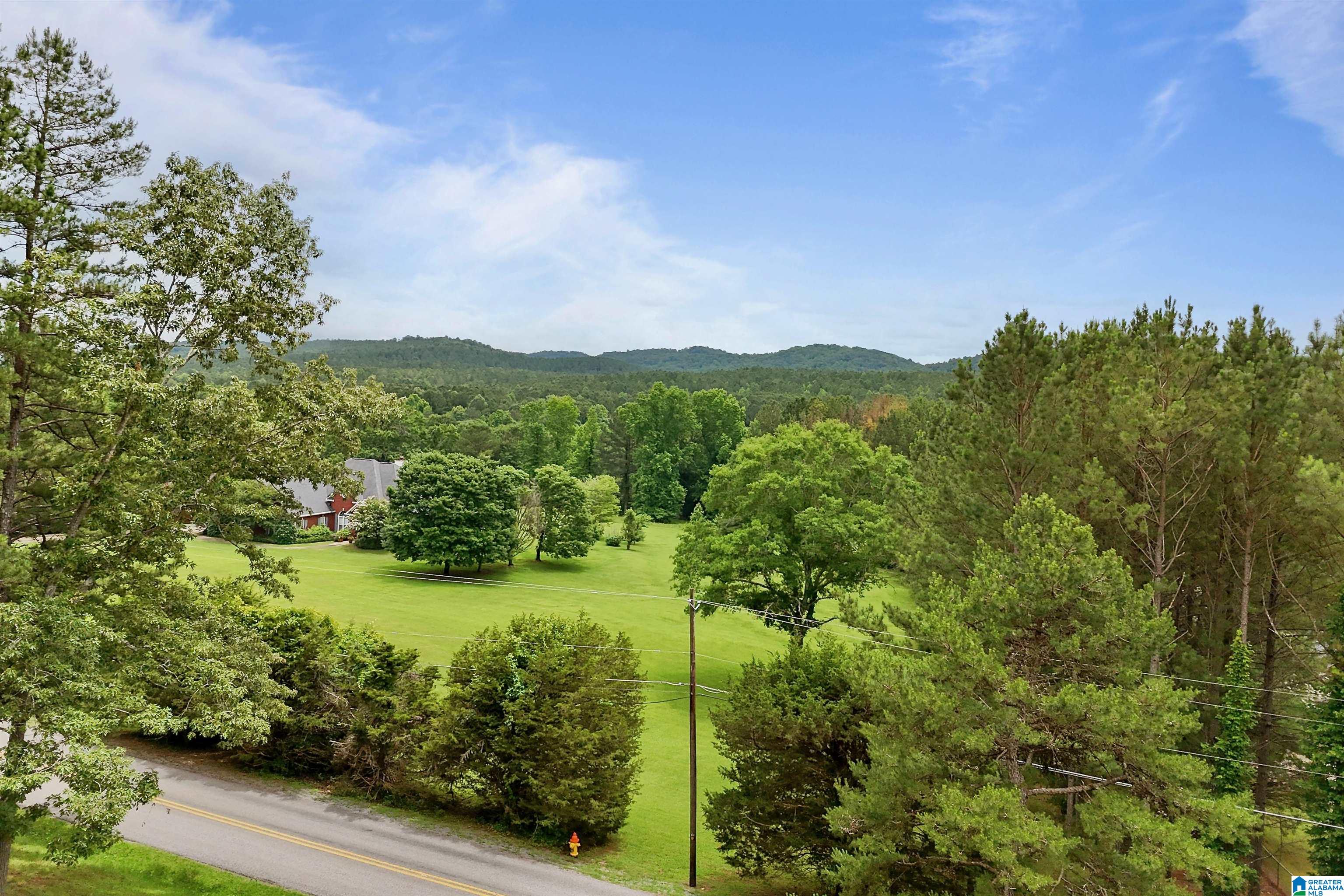 155 Oak Grove Road Springville, AL 35146 - Photo 25 of 78