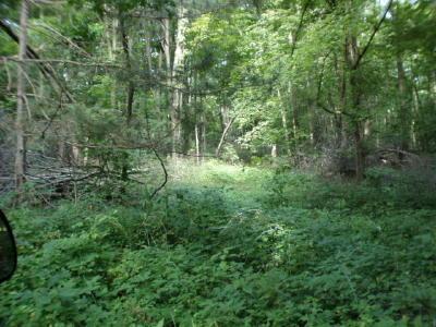 1200 Briar Patch Road Cassopolis, MI 49031 - Photo 2 of 2 Additional Photo