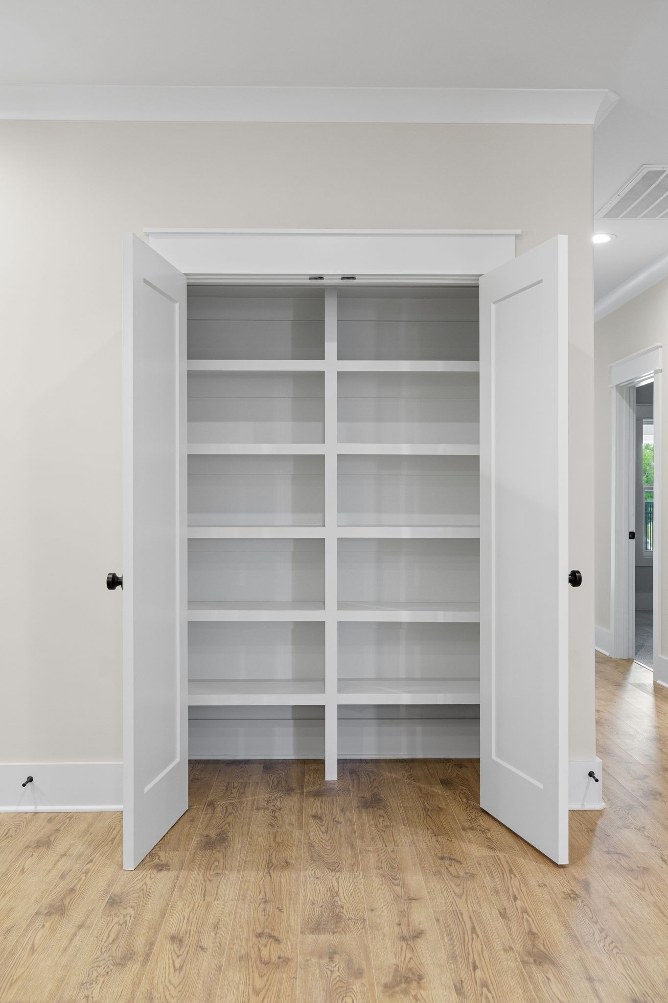 2039 Grace Johns Circle Murfreesboro, TN 37128 - Photo 21 of 33 a view of room with walk in closet with empty racks