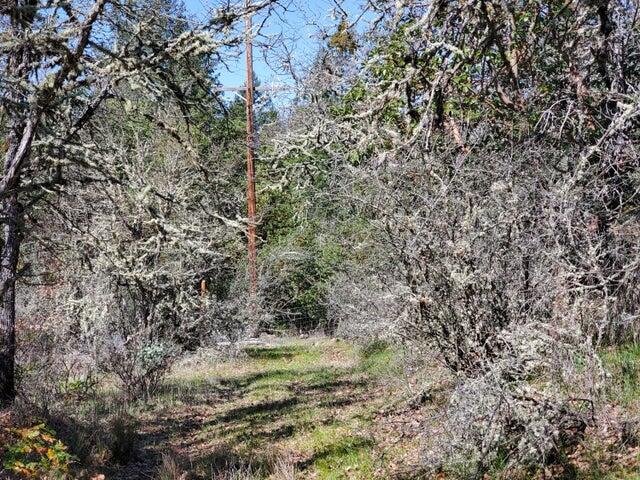 0 North Applegate Road Grants Pass, OR 97527 - Photo 5 of 14 20210405214055239185000000-o