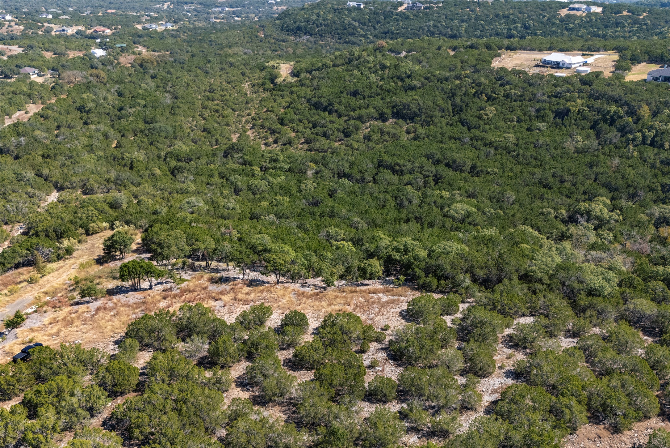 Lot 196 A Canyon Ridge Bertram, TX 78605 - Photo 3 of 8 a view of a forest with a tree