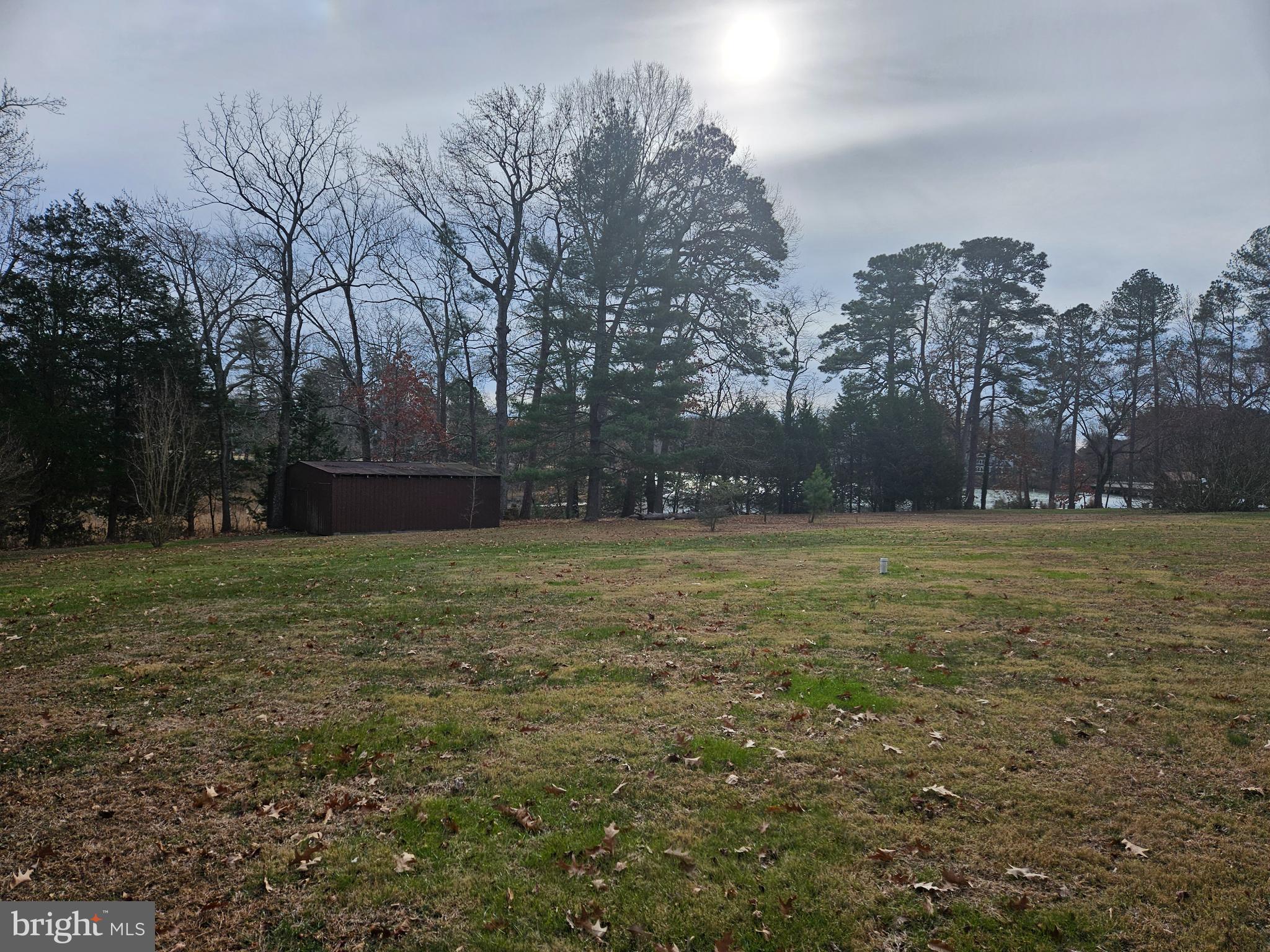 Oxford Road Easton, MD 21601 - Photo 2 of 4 a view of yard with tree