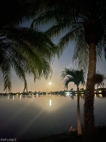 a view of a lake with a palm tree
