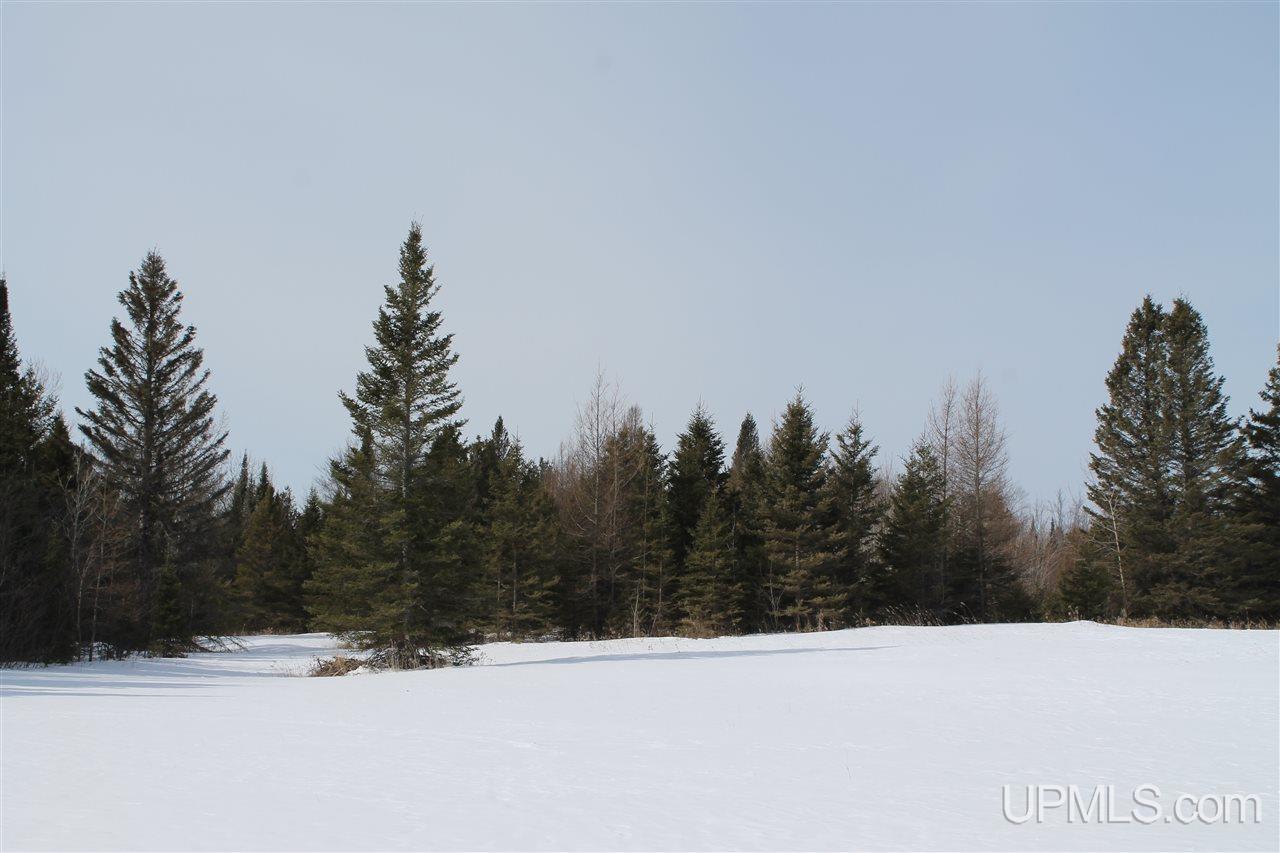 3315 Co Road Cornell, MI 49818 - Photo 50 of 50