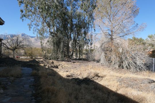 7011 North Brown Road Inyokern, CA 93527 - Photo 12 of 15 Gallery Image 12