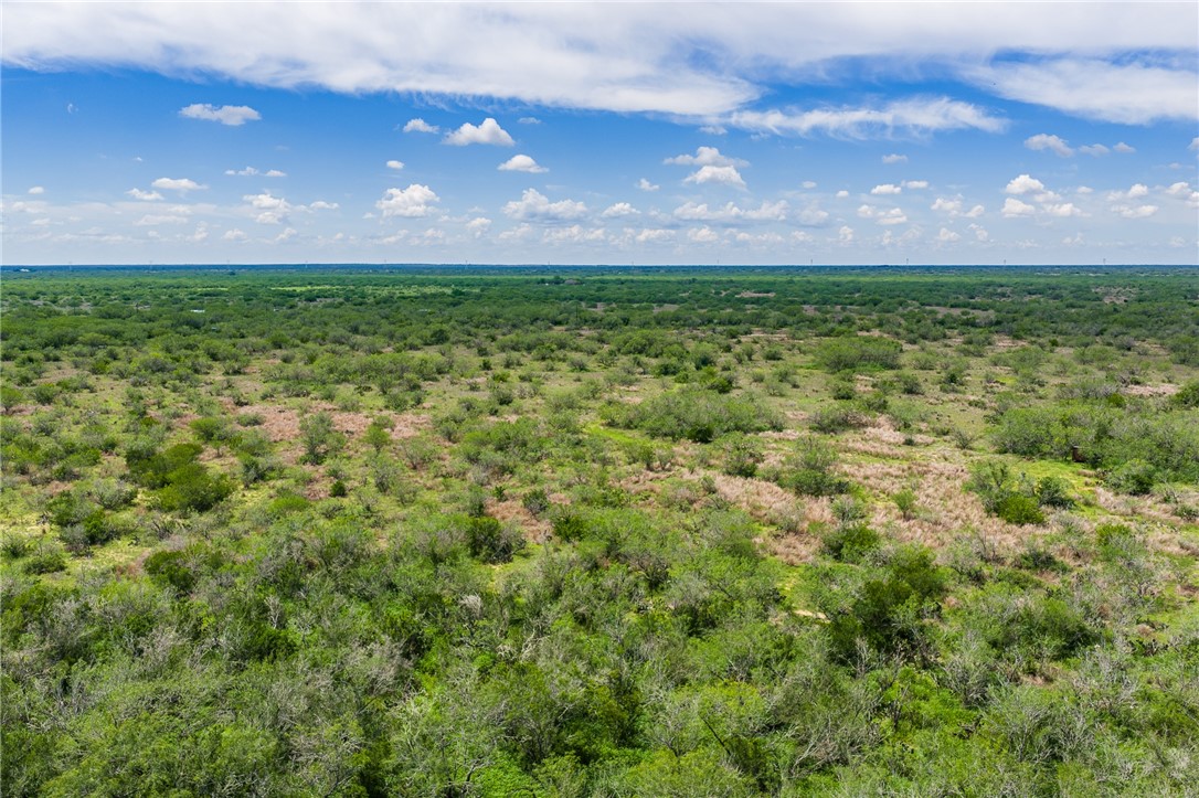 0 Fm 3249 Realitos, TX 78376 - Photo 11 of 12 a view of a big yard
