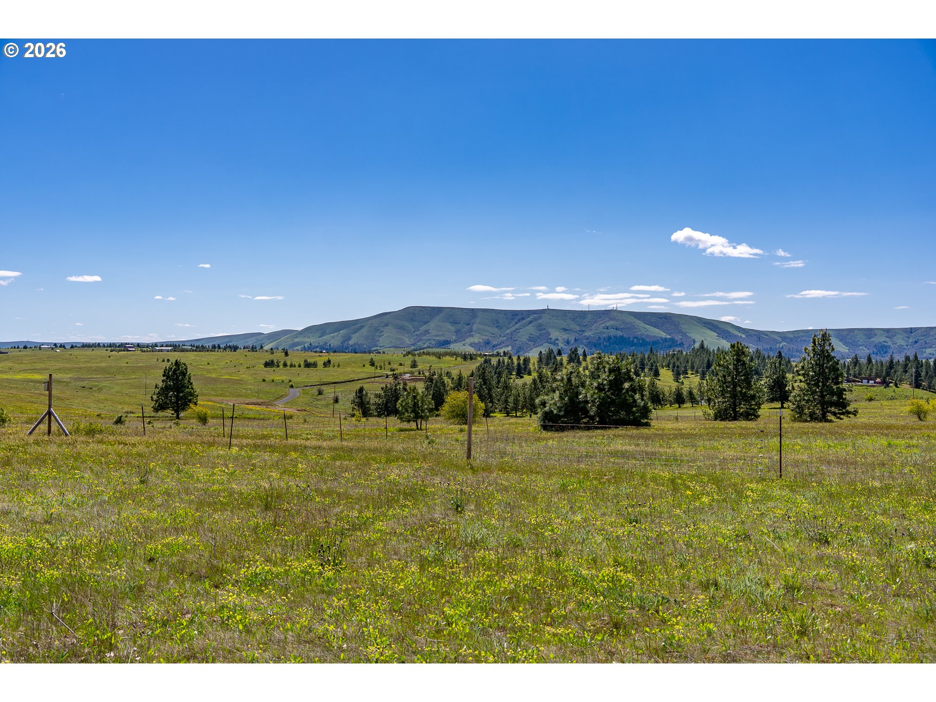 Morris Road Lyle, WA 98635 - Photo 12 of 47
