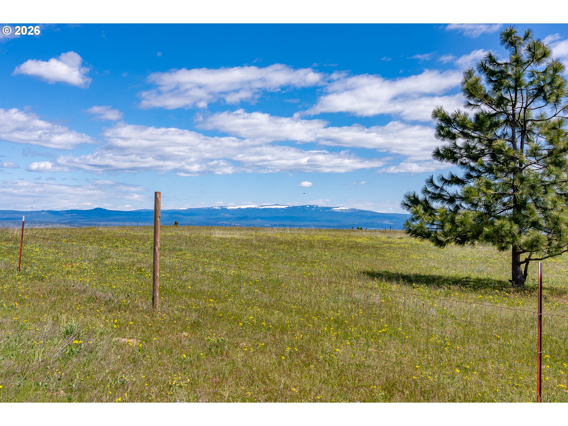 Morris Road Lyle, WA 98635 - Photo 15 of 47