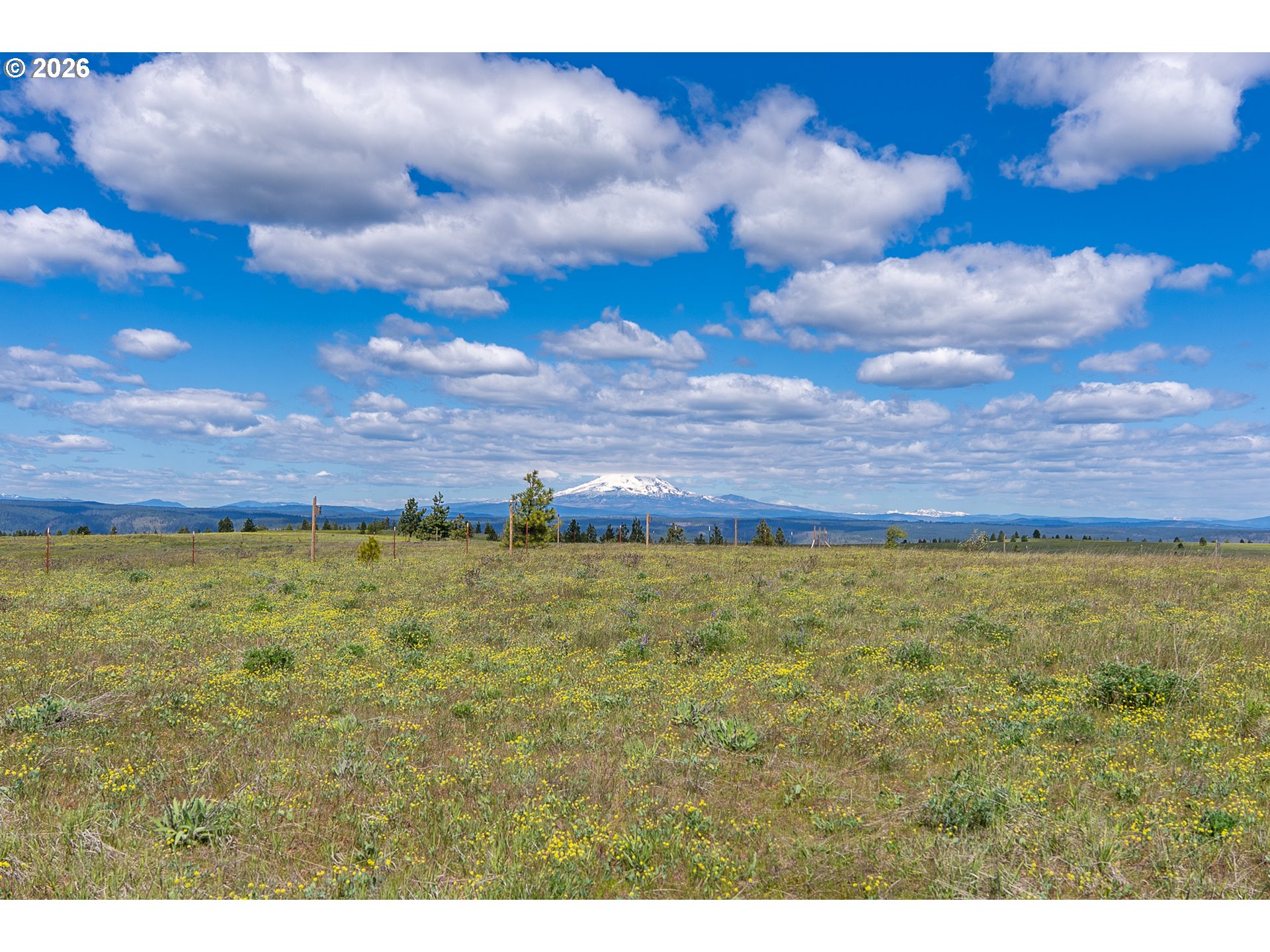 Morris Road Lyle, WA 98635 - Photo 18 of 47