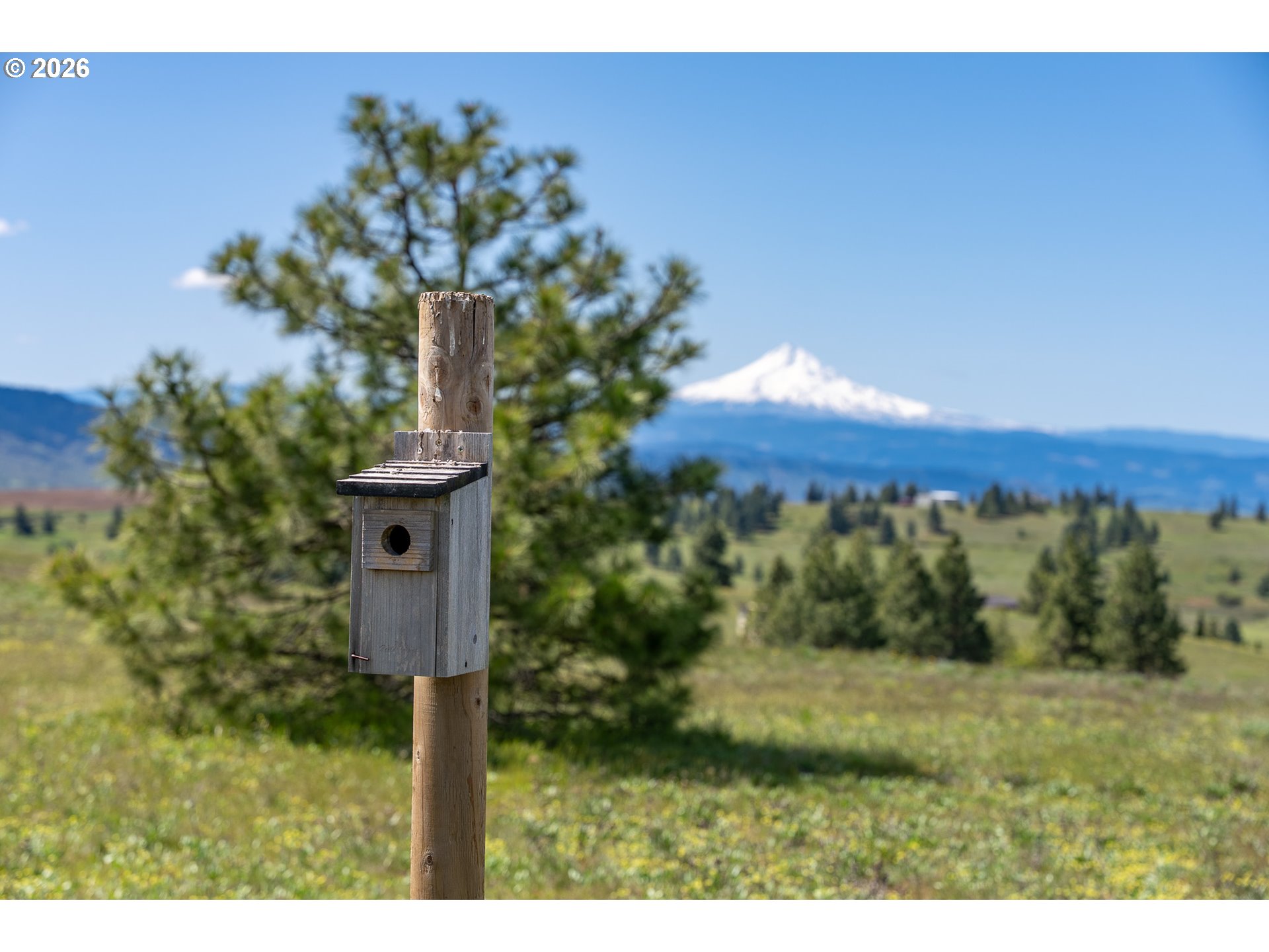 Morris Road Lyle, WA 98635 - Photo 19 of 47