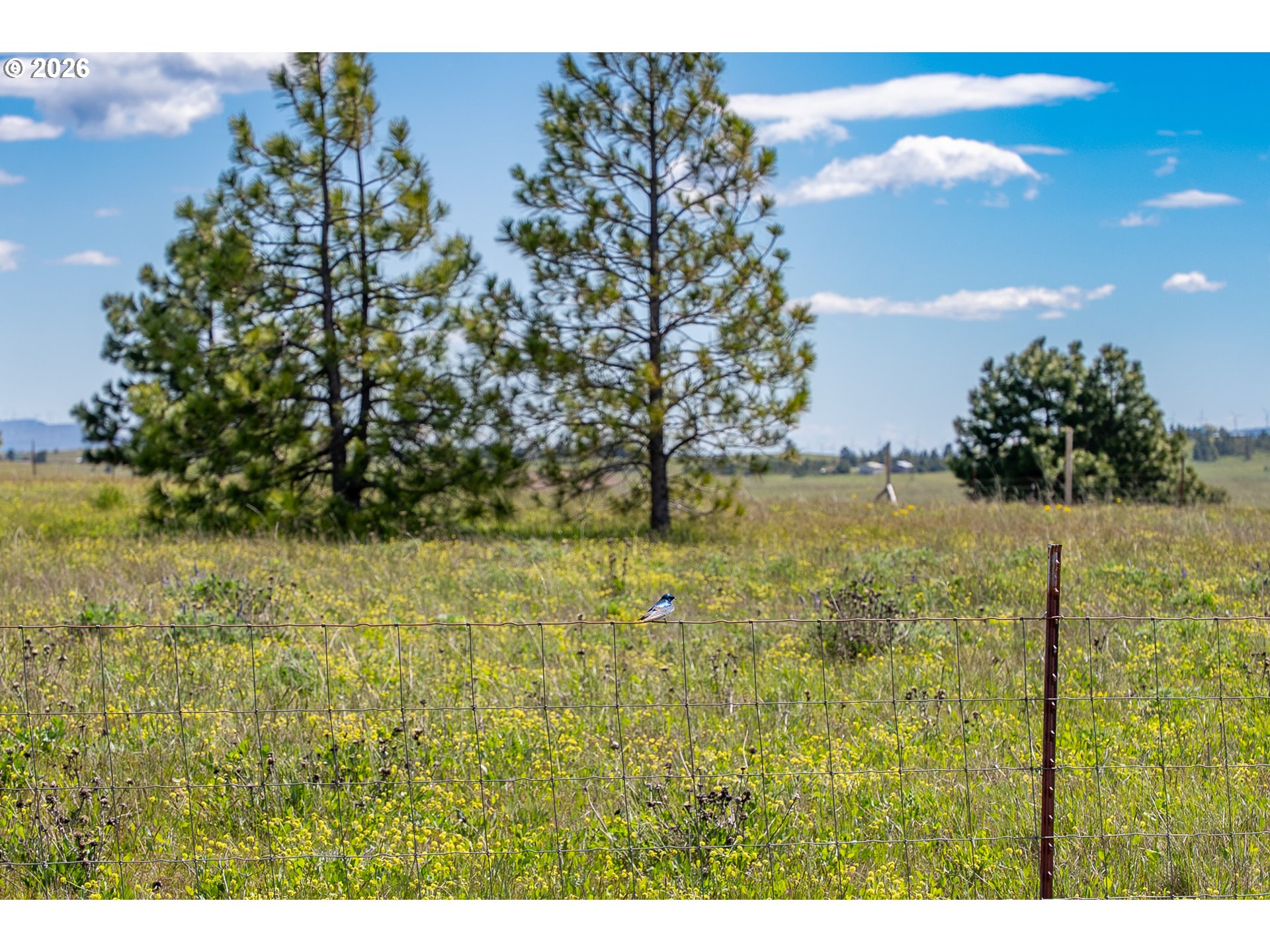 Morris Road Lyle, WA 98635 - Photo 20 of 47